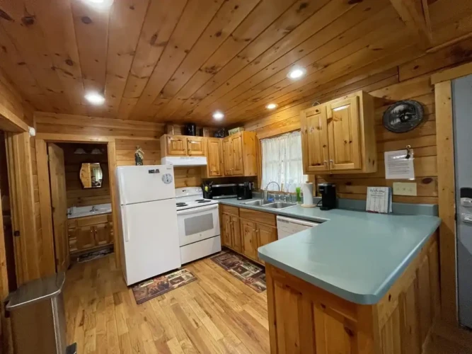 helen ga cabin rentals pet friendly