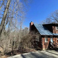 helen ga cabin rentals pet friendly