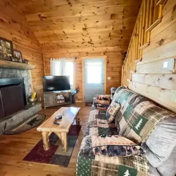 helen ga cabin rentals pet friendly