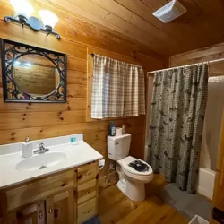 helen ga cabin rentals pet friendly