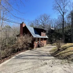 helen ga cabin rentals pet friendly