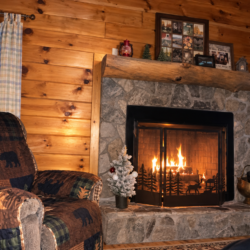 helen ga cabin rentals pet friendly