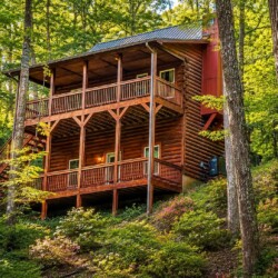 helen ga cabin rentals pet friendly