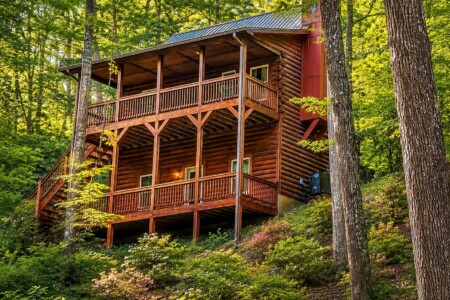 helen ga cabin rentals pet friendly