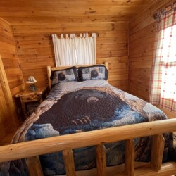 helen ga cabin rentals pet friendly