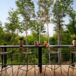 cabins for rent ellijay ga